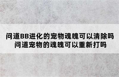 问道BB进化的宠物魂魄可以清除吗 问道宠物的魂魄可以重新打吗